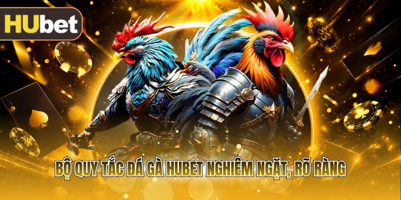 Bộ quy tắc đá gà HUBET nghiêm ngặt, rõ ràng